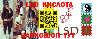 гашик Ливны