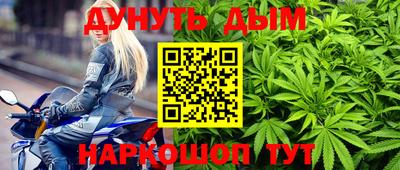 гашик Ливны