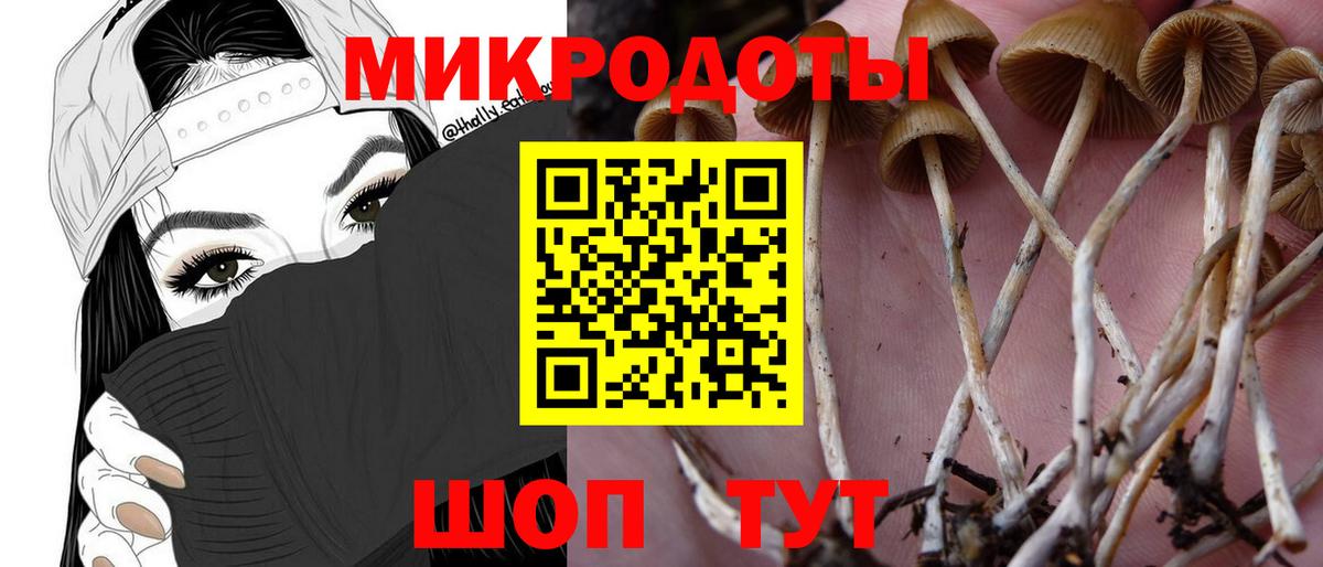 Галлюциногенные грибы прущие грибы  Псилоцибиновые грибы MAGIC MUSHROOMS  Вход с VPN  Дзержинский 