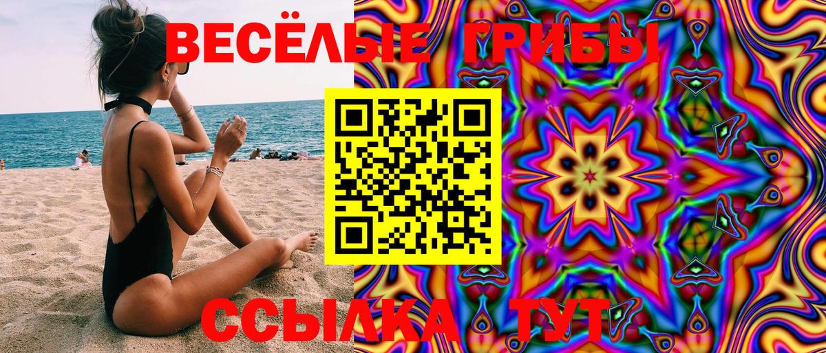 Псилоцибиновые грибы Cubensis Дзержинский